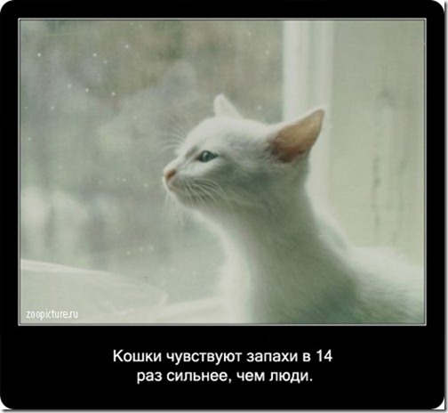 clip_image018