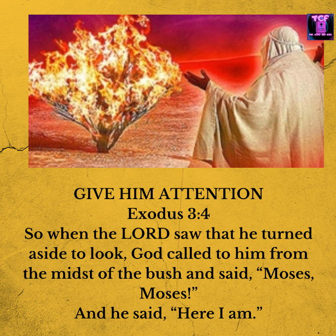 DAILY DEVOTIONAL: GIVE HIM ATTENTION