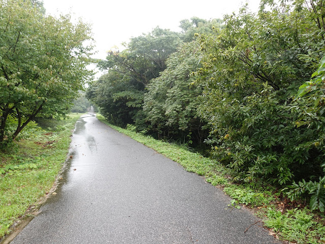 むきばんだ史跡公園の弥生の森遊歩道