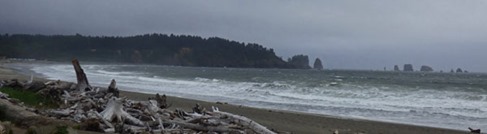 High Surf in La Push