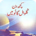 Kuch Din Global GaoN Mein