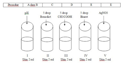 Contoh Laporan Praktikum Uji Urine  iLman'z Blog