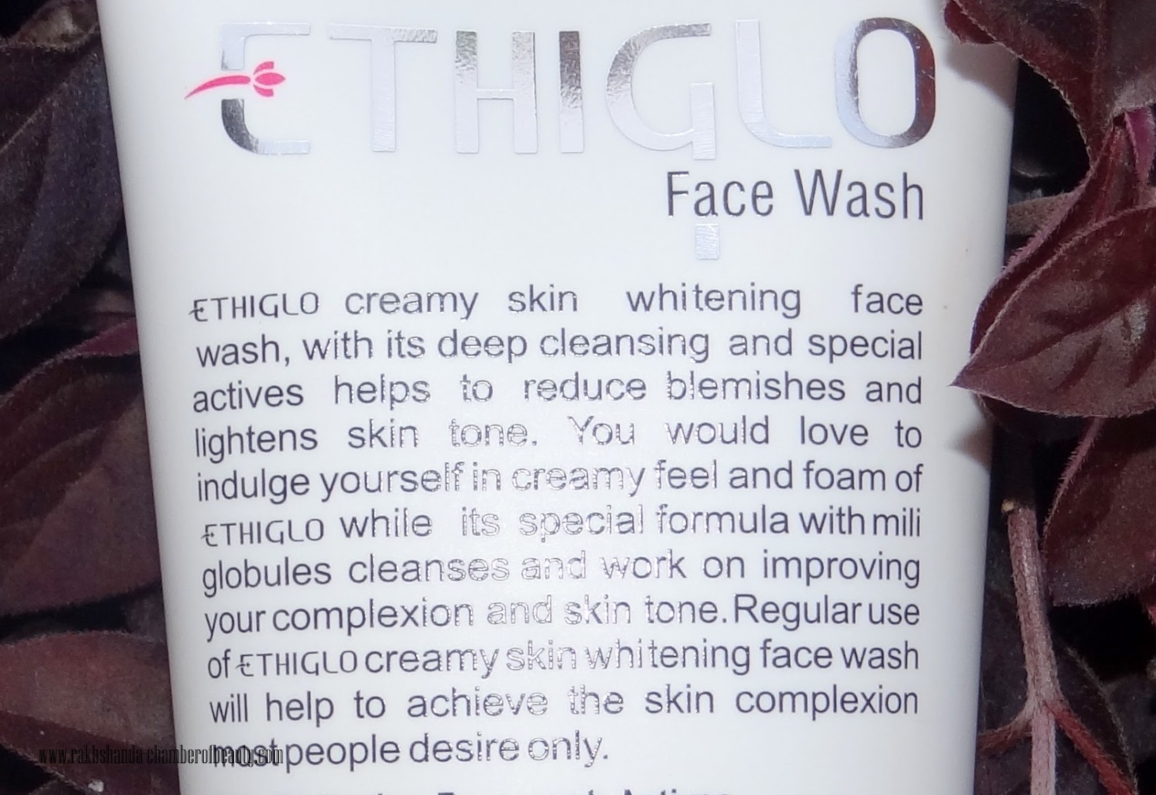 Ethiglo Skin Whitening Deep Cleansing Facial Foam Review & Price in India, skincare in monsoon, products for oily/combination skin in India,Indian beauty blogger, Chamber of beauty