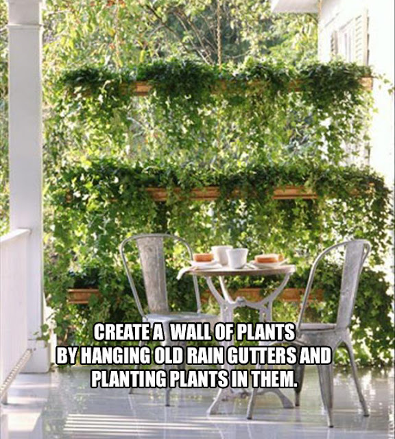 do it yourself, awesome, cool, inventions, garden ideas, spring time ideas, fun pictures