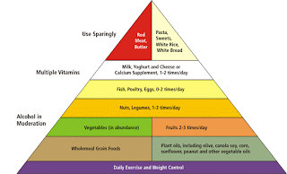 balanced diet vs healthy diet pyramid