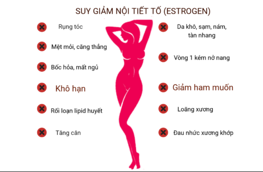 Estrogen là loại hormon vô cùng quan trong trong cơ thể nữ giới