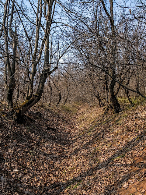 Тропа через Лысогорское кладбище