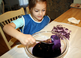 The Phoenicians crushed murex shells to create the purple dye they were famous for. I boiled down a head of red cabbage to achieve a similar effect. Tessa dyed pasta and a pair of socks. We were surprised how pretty the shade of purple turned out. Tessa was enthralled with the entire process and wanted to create more colors of dye from other vegetables.
