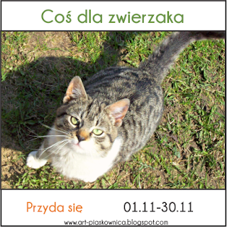 http://art-piaskownica.blogspot.com/2015/11/przyda-sie-cos-dla-zwierzaka.html