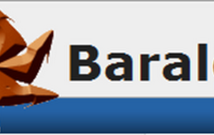 Baralga, simple and lightweight time tracking.