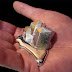 Gallium Metal melts on Palm of the Hand