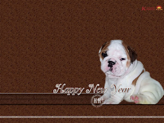 Cute New Year Wallpaper