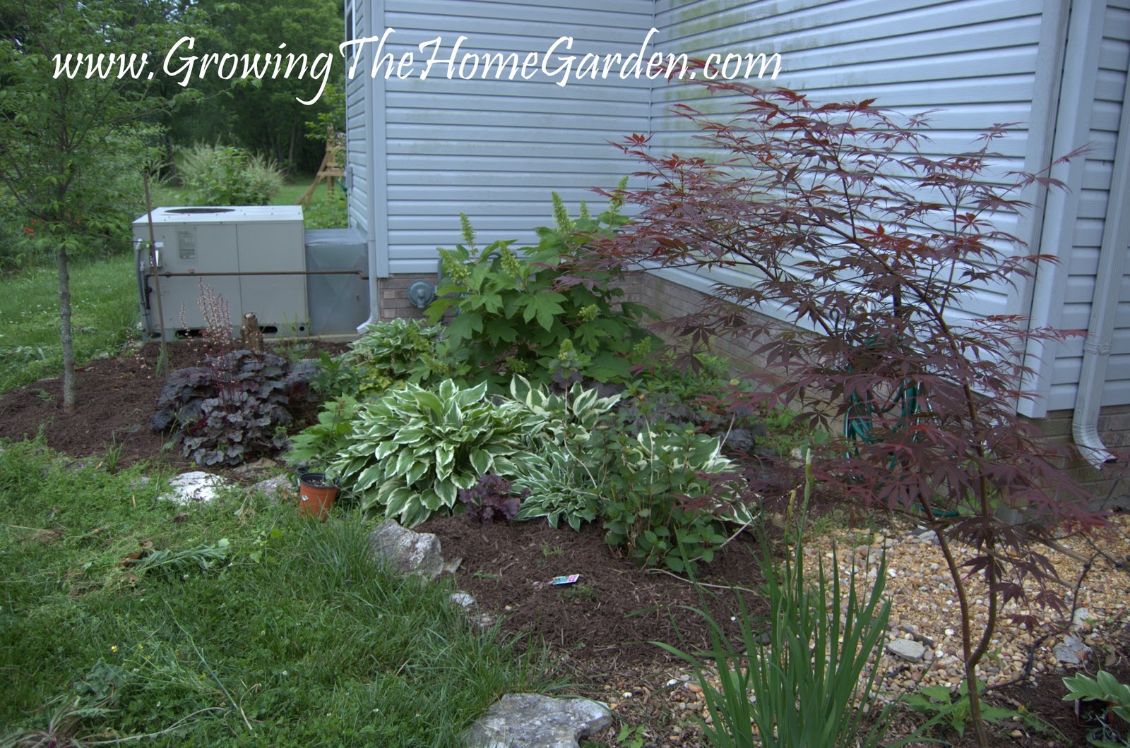 Growing The Home Garden: The Corner Shade Garden