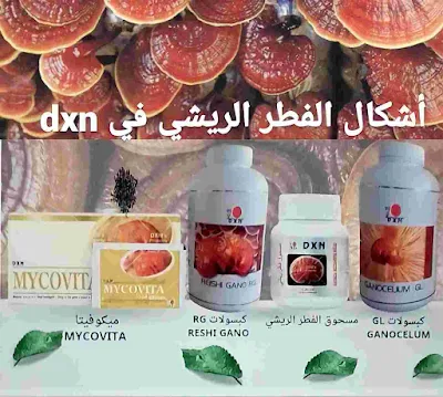 ما الفرق بين الفطر الريشي  [ GL _ RG] في شركه dxn ما الفرق بين الفطر الريشي  [ GL _ RG] في شركه dxn