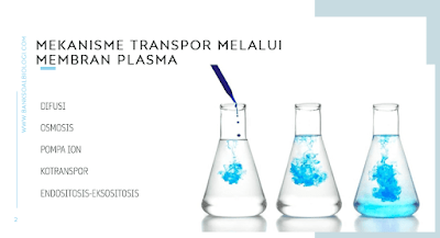 Materi Biologi Tentang Mekanisme Transpor Melalui Membran Plasma