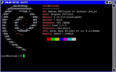 Script Auto Install SSH dan OpenVPN untuk VPS Debian 10 64 bit