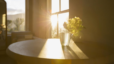 Health Benefits of Sunlight - You Should Know