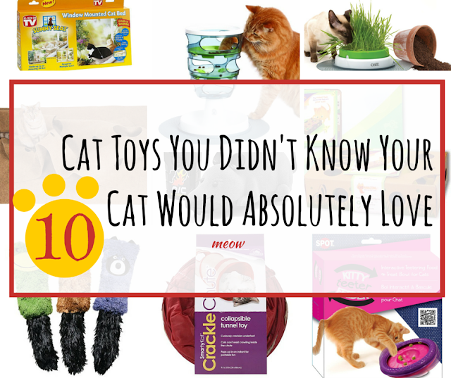 10 Cat Toys You Didn't Know Your Cat Would Absolutely Love