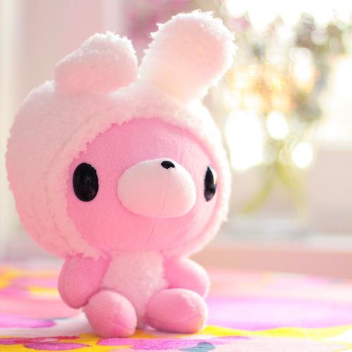  Gambar Boneka Lucu  Boneka  Beruang Lucu  dan Imut