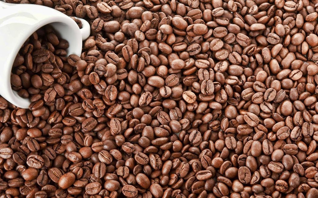 Coffee Seeds Widescreen Wallpaper