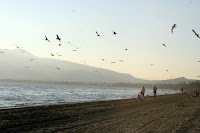 Lake Elsinore, California, USA - 2007