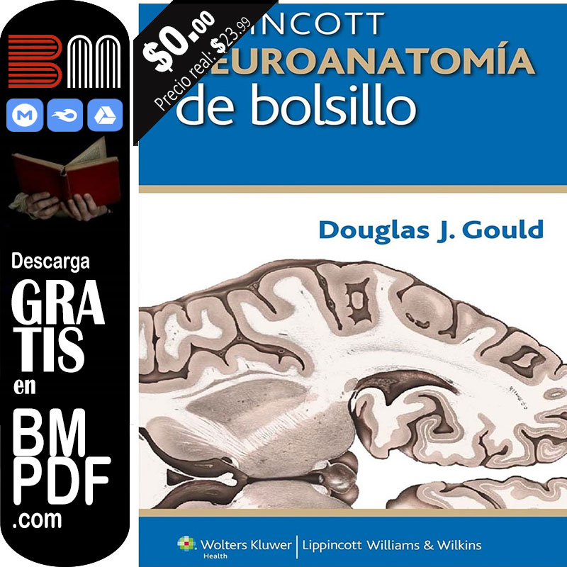 Neuroanatomía de bolsillo 1 edición PDF