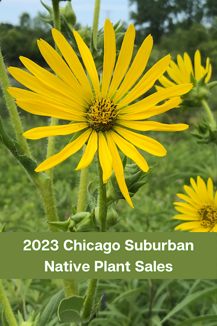 2023 Chicago Suburban Native Plant Sales