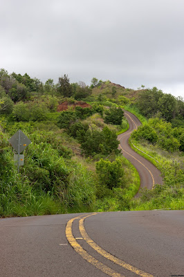 A scenic road zigs and zags through the Kauai countryside. August, 2019. © Evan's Studio