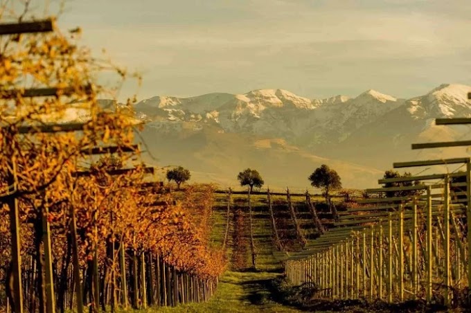 L’Abruzzo nell’Olimpo del Vino