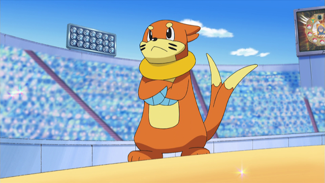 Buizel Ash