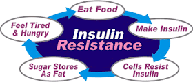 When sugar is in the blood, INSULIN is around. When insulin is around, our fat burning abilities go on hold!