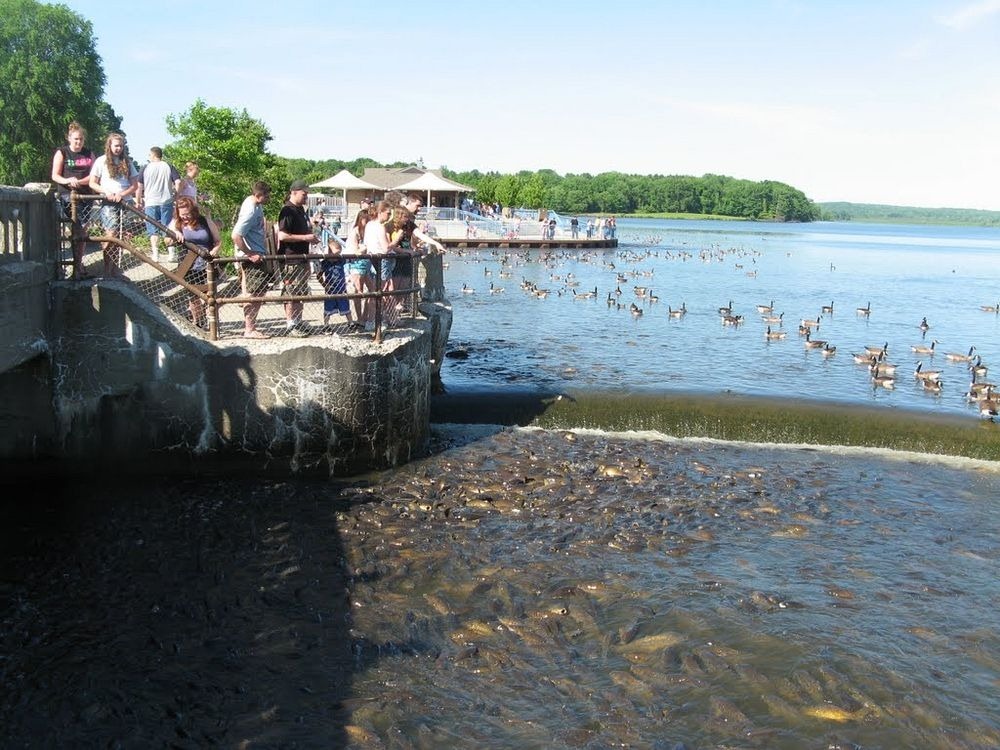 linesville-spillway-2