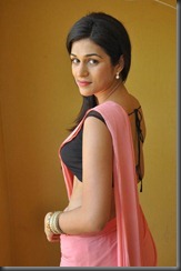 Shraddha Das Hottest Stills in Pink Saree