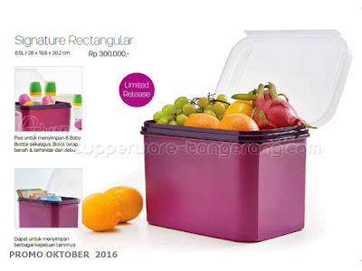 Signature Rectangular ~ Tupperware Promo Oktober 2016