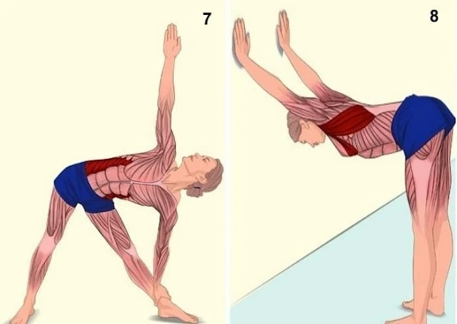 18 Pictures That Show You Exactly What Muscles You Are Stretching