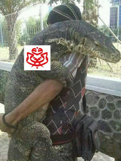 Image result for pas dukong biawak hidup di tumpang sekole