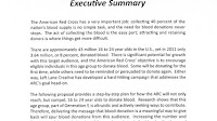 Marketing Plan - Executive Summary Marketing Plan Sample