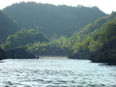 white sand island in Sipalay City