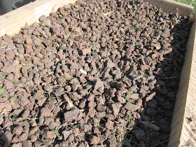 Separating stones from dirt