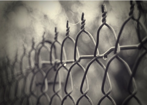 foggyfenceVNews-2011-01-8-15-07.jpg