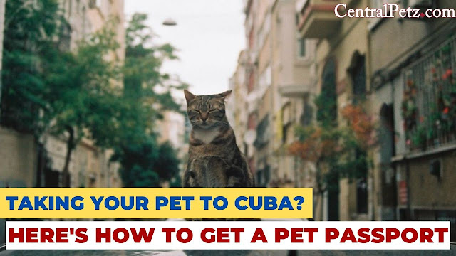 Pet Passport for Cuba Travel