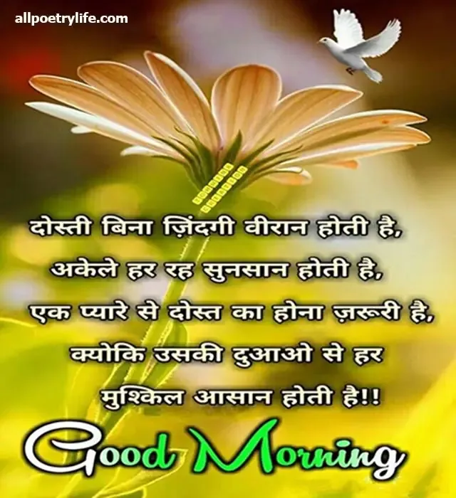 good morning shayari, good morning images shayari, good morning shayari in hindi, good morning love shayari, khubsurat good morning shayari, good morning shayari zindagi, good morning love shayari in hindi, good morning romantic shayari, good morning meri jaan shayari, good morning wali shayari, good morning funny shayari, good morning shayari pic, good morning dosti shayari, good morning pyar bhari shayari, motivational good morning shayari in hindi, romantic good morning sms for girlfriend in hindi, good morning love shayari for girlfriend in hindi, romantic good morning shayari for girlfriend in hindi, good morning sms in hindi for girlfriend, good morning shayari status, good morning love shayari for girlfriend in hindi language, good morning best shayari, sharechat good morning shayari, good morning whatsapp image shayari, good morning sad shayari with images, good morning shayari in hindi with photo, good morning shayari attitude, good morning images shayari love, good morning images shayari hindi, good morning sms hindi shayari,