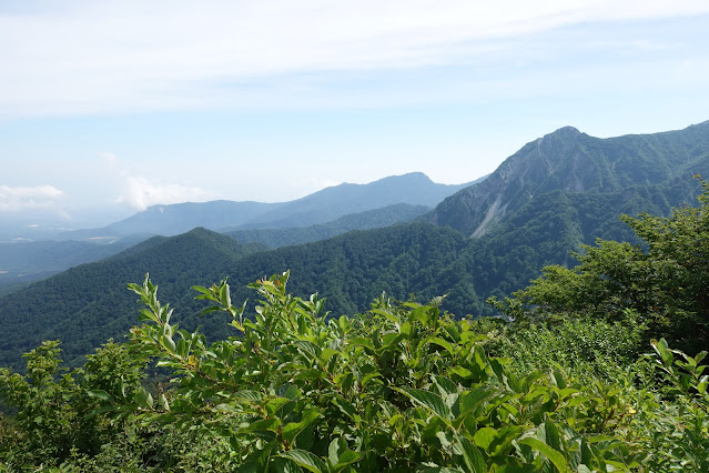 8月の大山夏山登山道