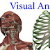  Visual Anatomy Apk v3.4 App 