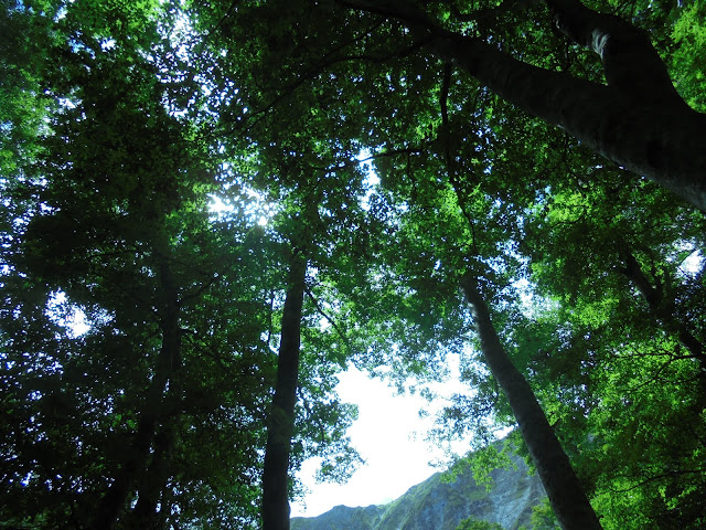 大山の美しい風景