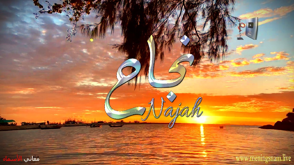 معنى اسم نجاح, وصفات, حامل, وحاملة, هذا الاسم, Najah,