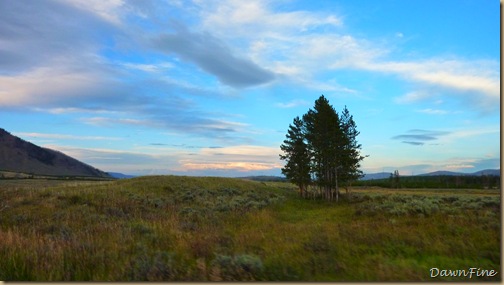 Yellowstone dawns_20090906_084