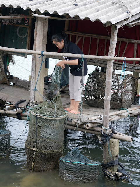 Quán-Hải-Sản-Tuấn-Phúc-Seofood-Hue-Vietnam