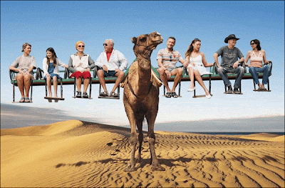 Funny Camel Rides Photo