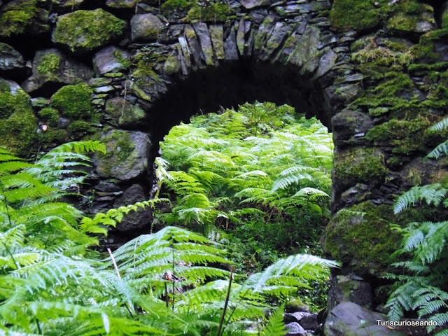 Sendero del Cubo de La Galga. La Palma